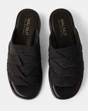 Load image into Gallery viewer, Frank Slide