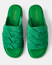 Load image into Gallery viewer, Frank Slide