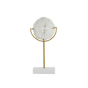 Fungia Poly Coral w Stand 10x20cm Wh/Gd
