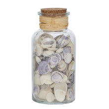 Load image into Gallery viewer, Seashells w Glass Jar 8x15.5cm
