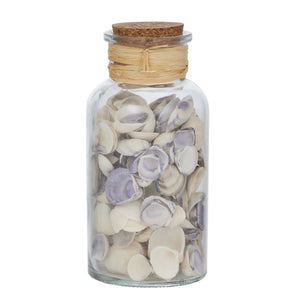 Seashells w Glass Jar 8x15.5cm