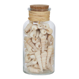 Seashells w Glass Jar 8x15.5cm