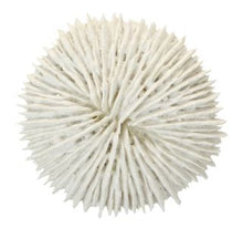 Load image into Gallery viewer, White Poly Coral - Assorted

