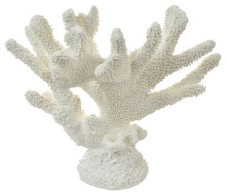 White Poly Anenome Coral - 35x20x30cm