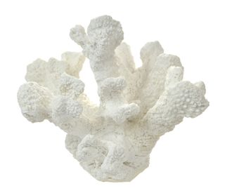 White Poly Tube Coral - 19x14x16cm