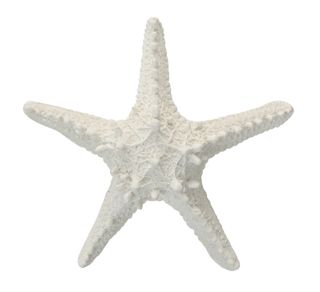 White Poly Starfish - 15x4cm