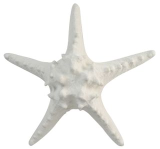 White Poly Starfish - 25x9cm