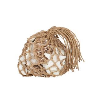 Seashells in Natural Net